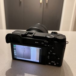 Sony A6600