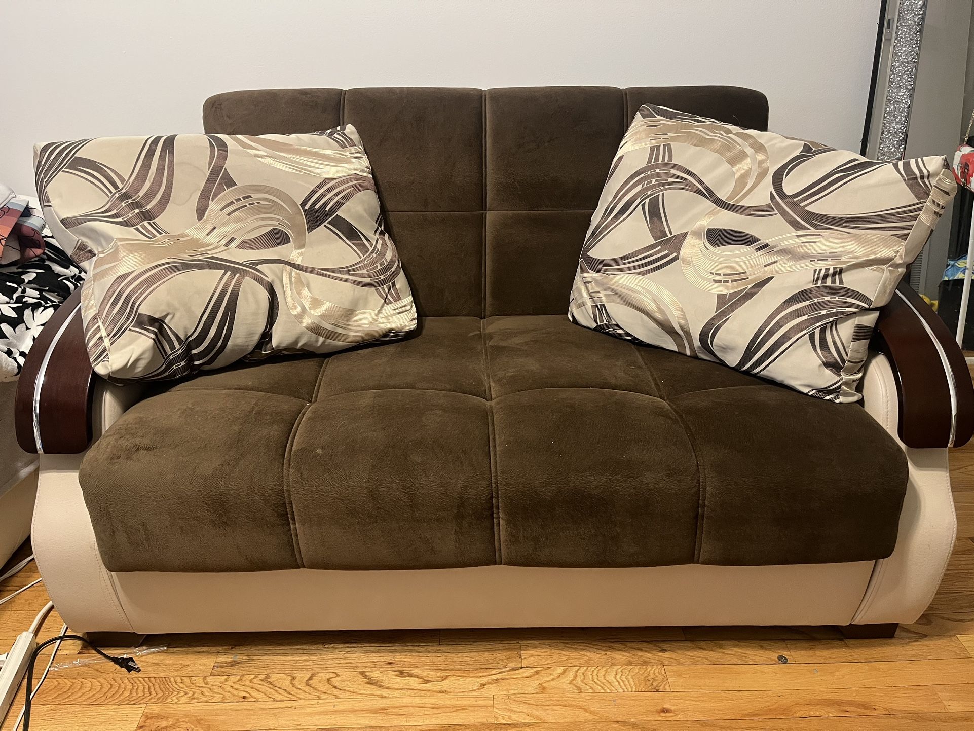 Pull Out Sleeper/ Love Seat