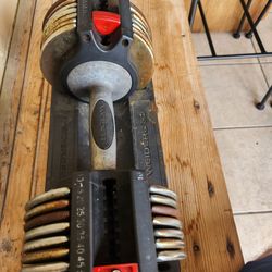 Vintage  dumbell  set