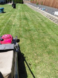 @ se hace Landscaping y trimming 🌿