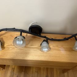 Track Light