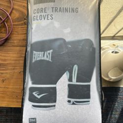Everlast Boxing Gloves New