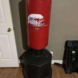 Punching Bag Century Wave master 