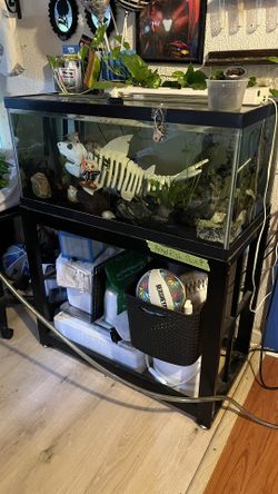 40 Gallon Breeder Tank 