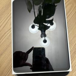 iPad Pro 11-inch (4th Generation) Wi-Fi + Cellular $700