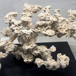 Aquascape Rock and Natural Frag Rack