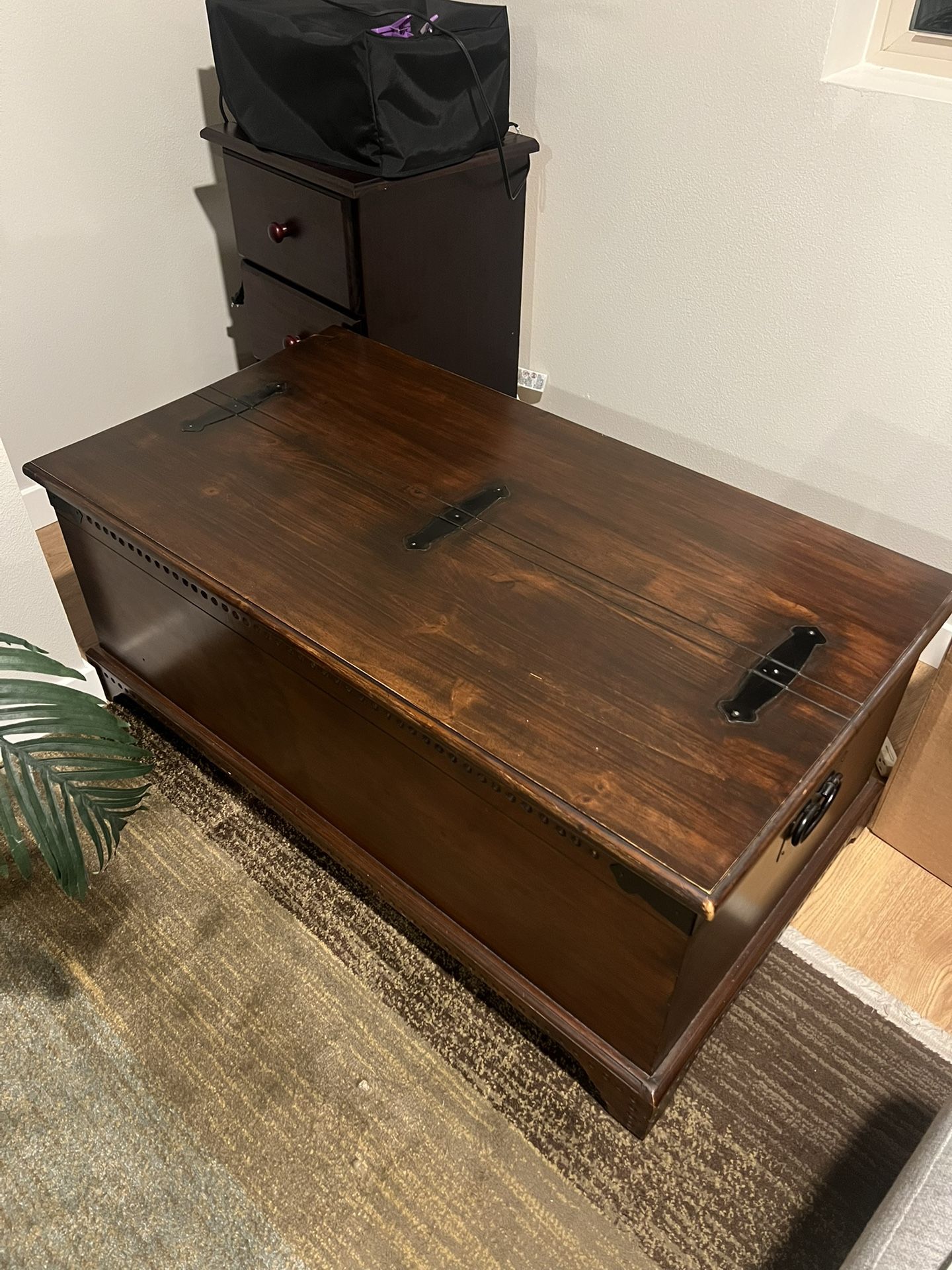 Coffee Table/Trunk