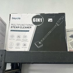 Steam Cleaner