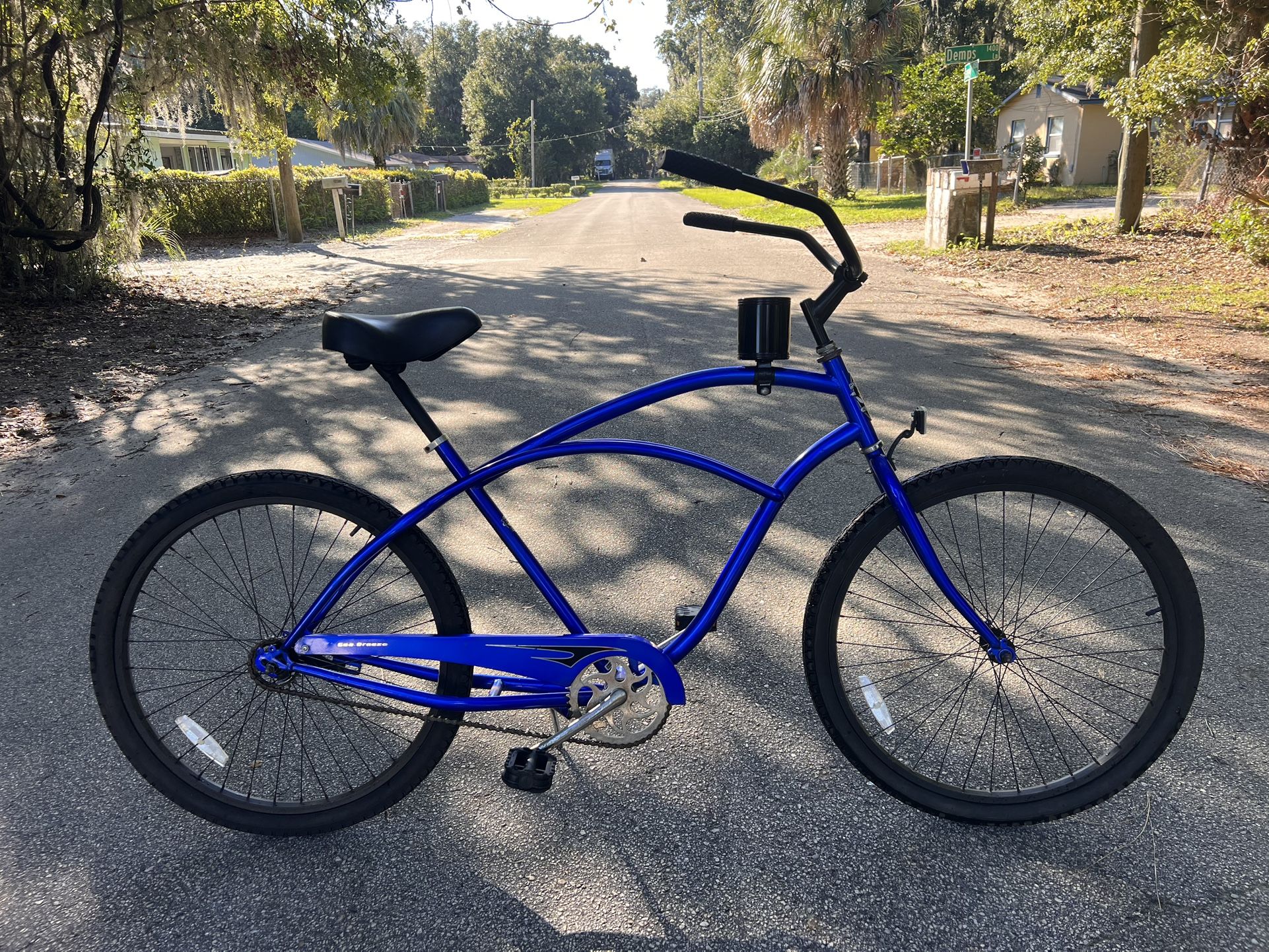 Bike Beach Cruiser Phat 