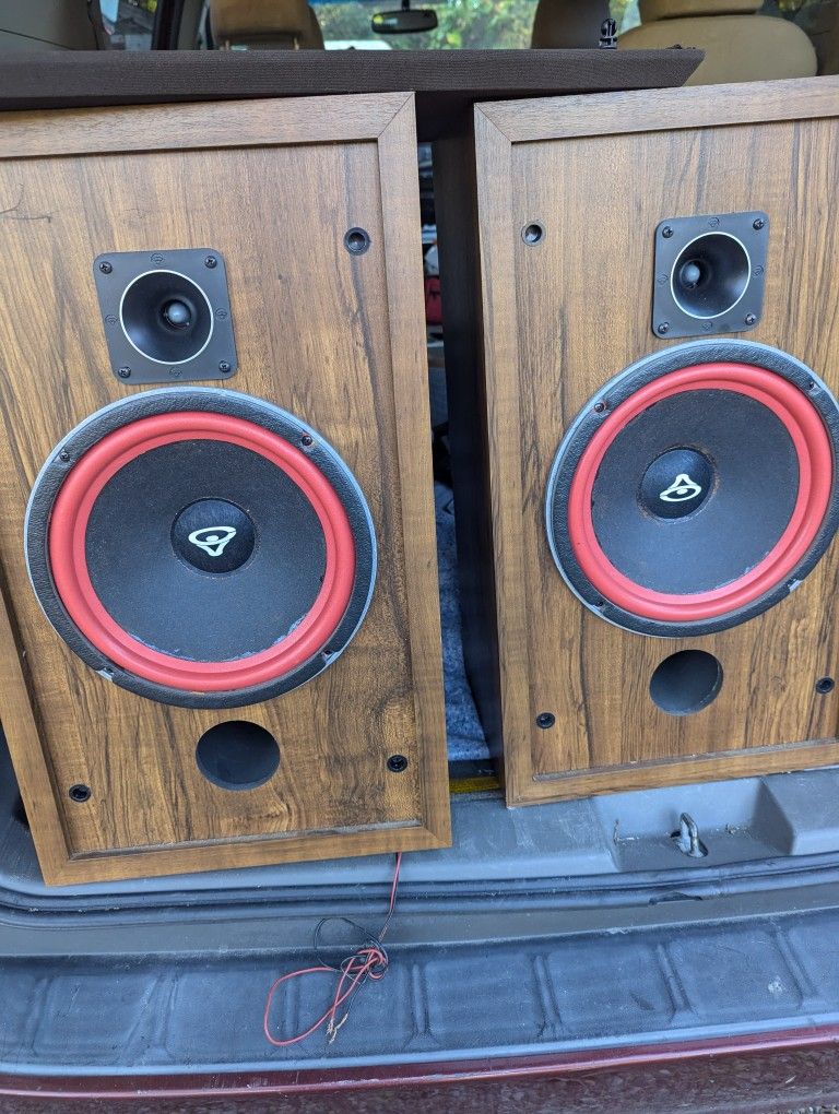 Vintage Cerwin Vega D2 Speakers Refurbished