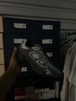 Dior b30 gray