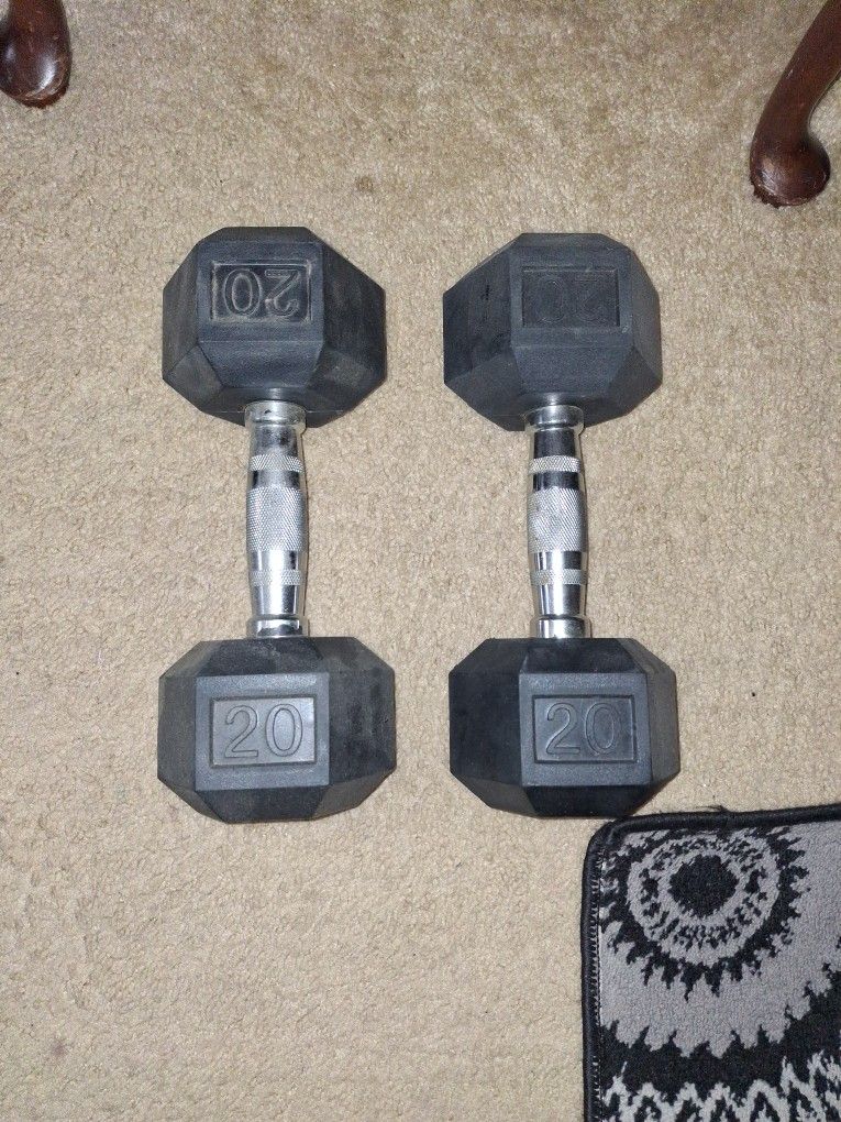 20lb Weight Set