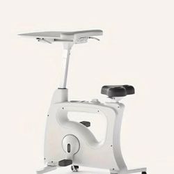 WFH Stationary Desk Bike