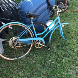Schwinn Classic Bike