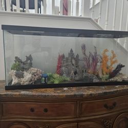 100 Gal Fish Tank