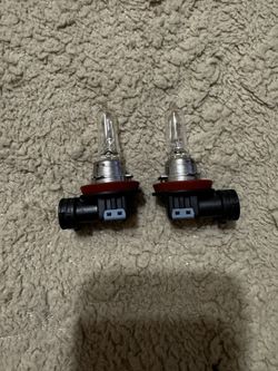 2021 Toyota Tacoma Headlight Bulb 