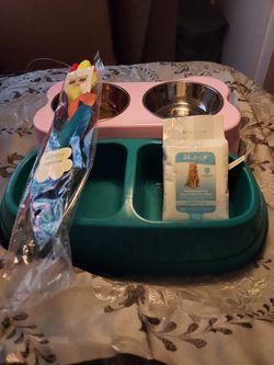 Cat Supplies