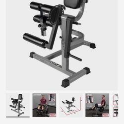 Leg Extension and Leg Curl Machine