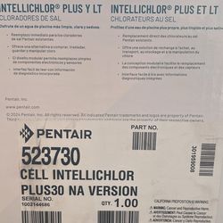 Pentair Pool Generator Plus 30