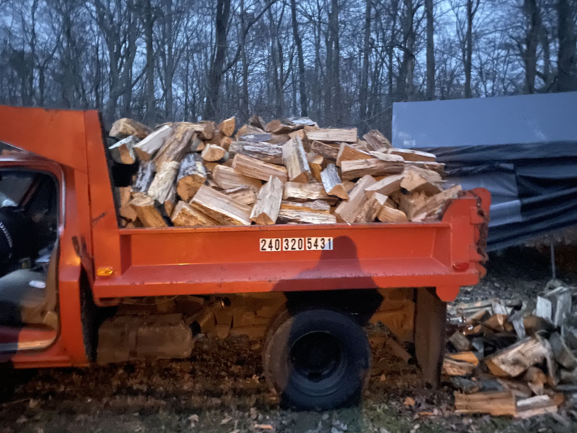 Firewood