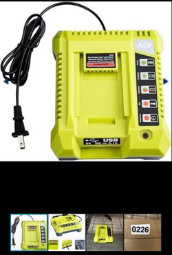 Ryobi 40 V Charger