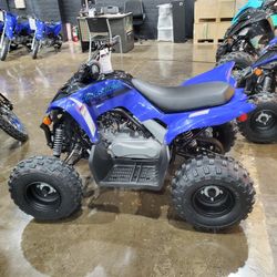 2024 Yamaha Raptor 110