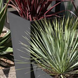 Brand New Veradek 26” Taper Planter – 2 Pack – In Box