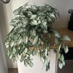 Large Arrowhead Ivy Vine Or Syngonium podophyllum Silk Artificial Plant In Rattan Basket Planter