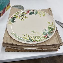 Large Dinner Plates 