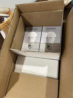 Savant Colored Bulbs 