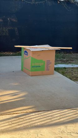 Bees For pick up