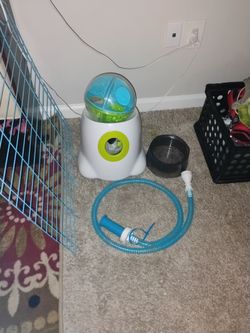 Dog stuff