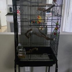 Lovebird Cage 
