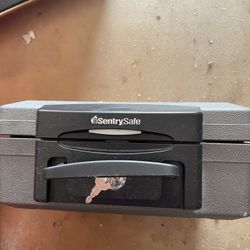 NEW Security Safe