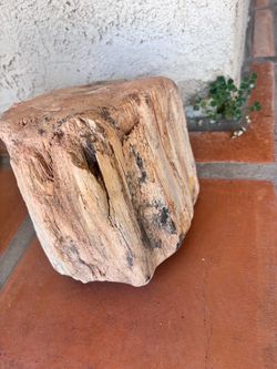 Petrified wood