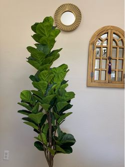 6ft Artificial Fiddle Leaf Fig Tree
