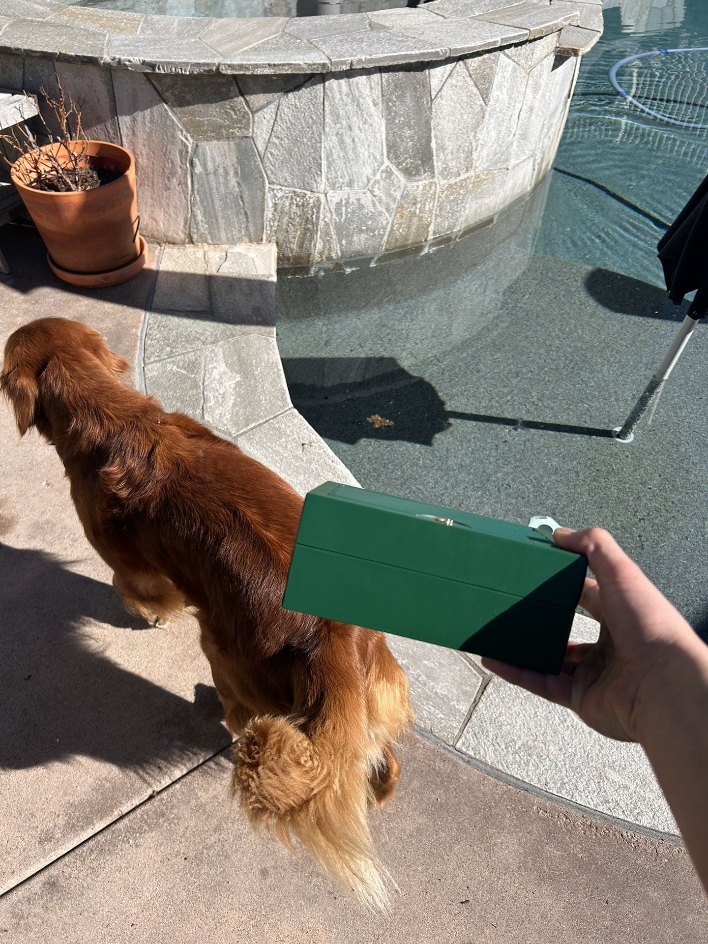 Rolex Box, No Papers