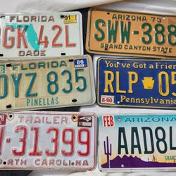 License Plates 