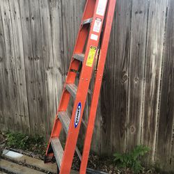 Ladder 6 Ft