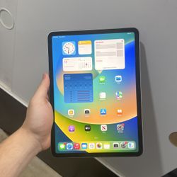 iPad Pro 11inch 4th Generation Wifi Only 256gb 