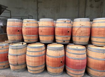 Oak wine barrels