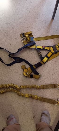 Safety harness