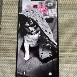 Unlocked 15 Max Pro 256g 