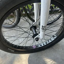 Odyssey Wheel 