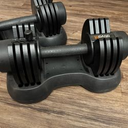 Set of Two - Each 27.5 Lb Adjustable Dumbbells 
