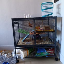 Critter Nation Rat Cage