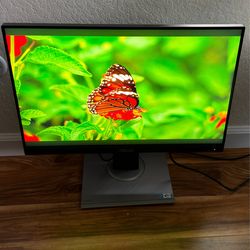 ASUS ProArt 24 inch Monitor