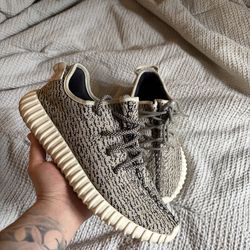 Yeezy 350 Turtle dove