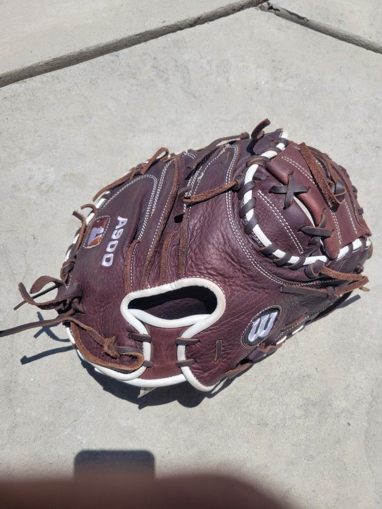 Catcher's Glove
