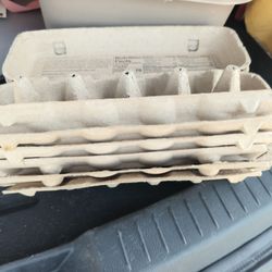egg cartons